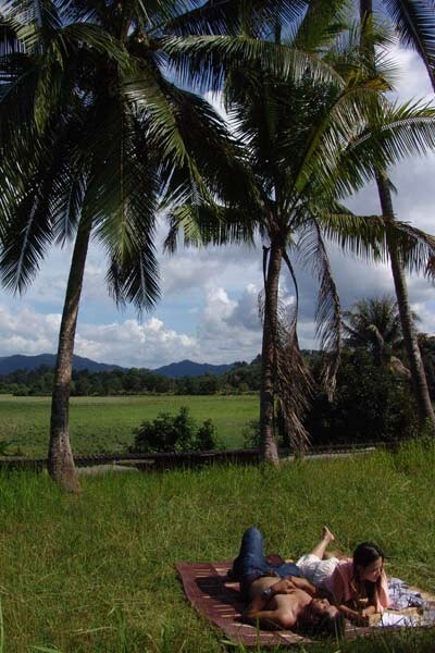 Aditya Assarat-shiny_eliza