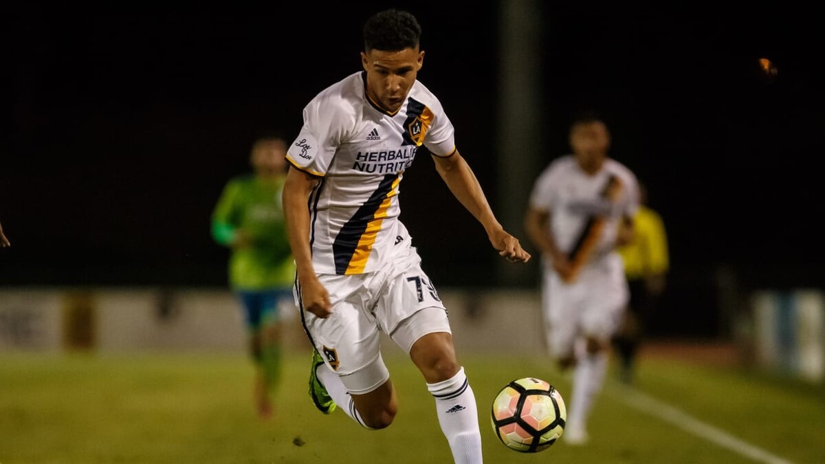 Adonis Amaya