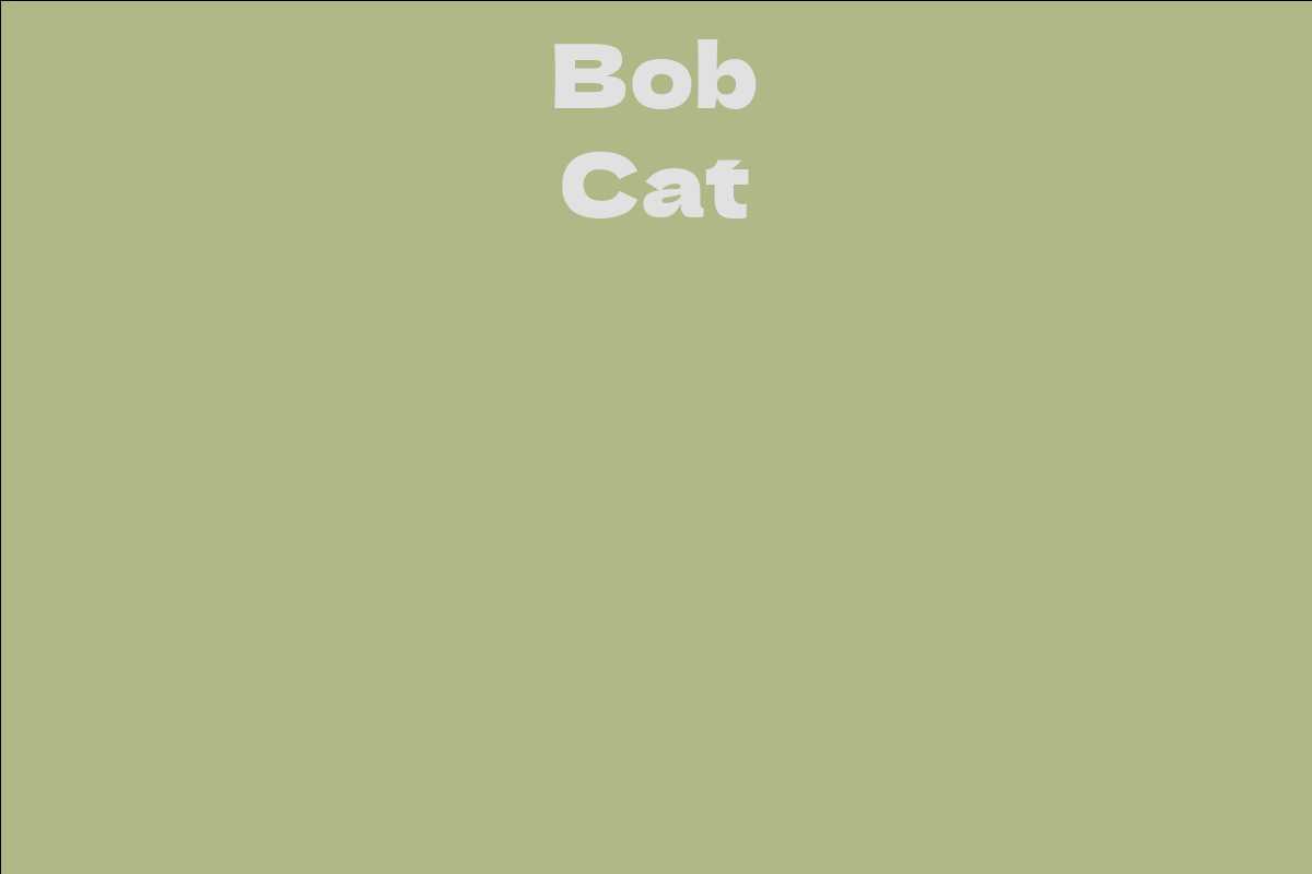 Bob Cat