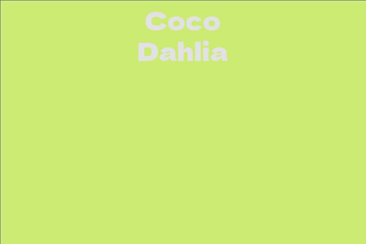 Coco Dahlia