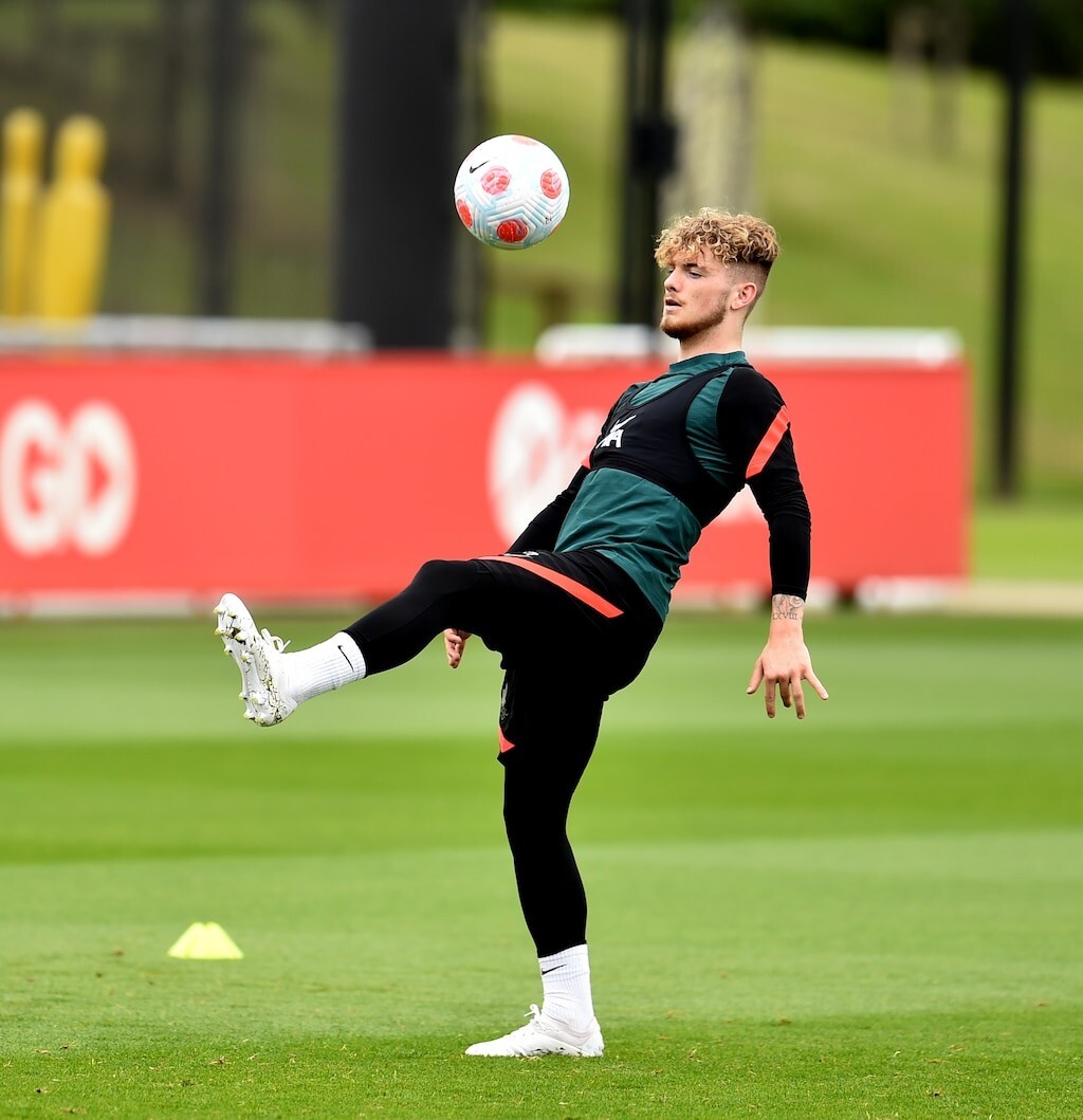 Daniel Harvey (soccer)