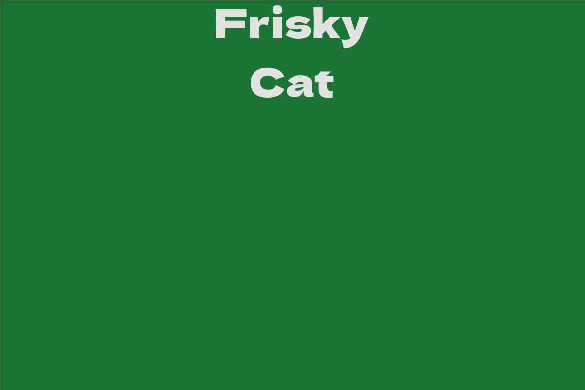 Frisky Cat