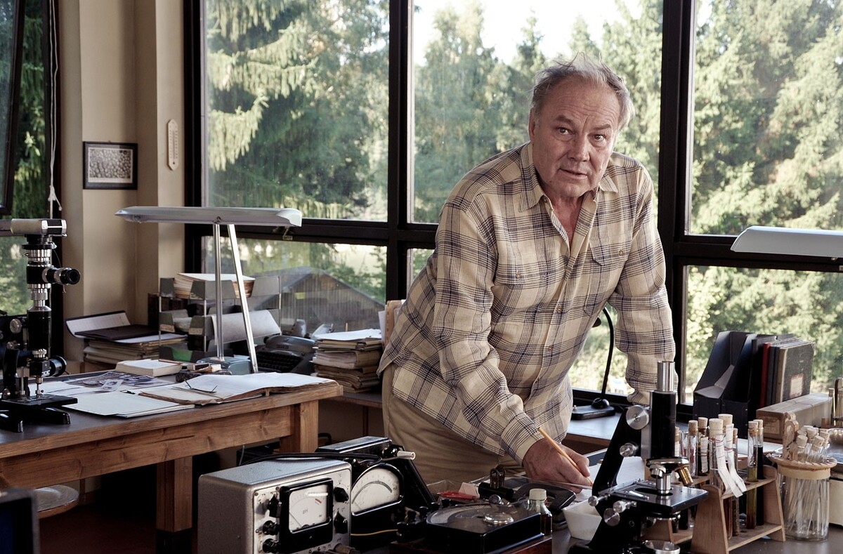 Klaus Maria Brandauer