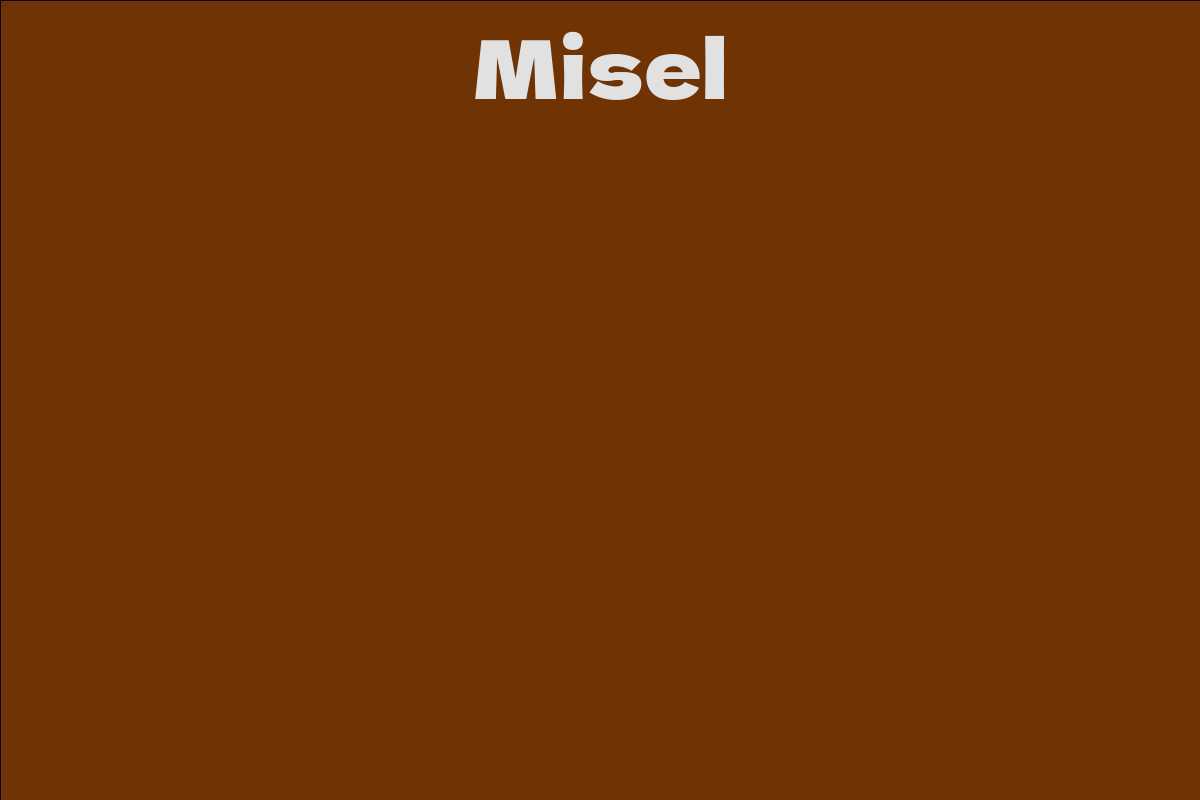 Misel