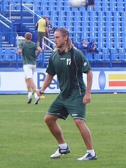 Mozzi Gyorio