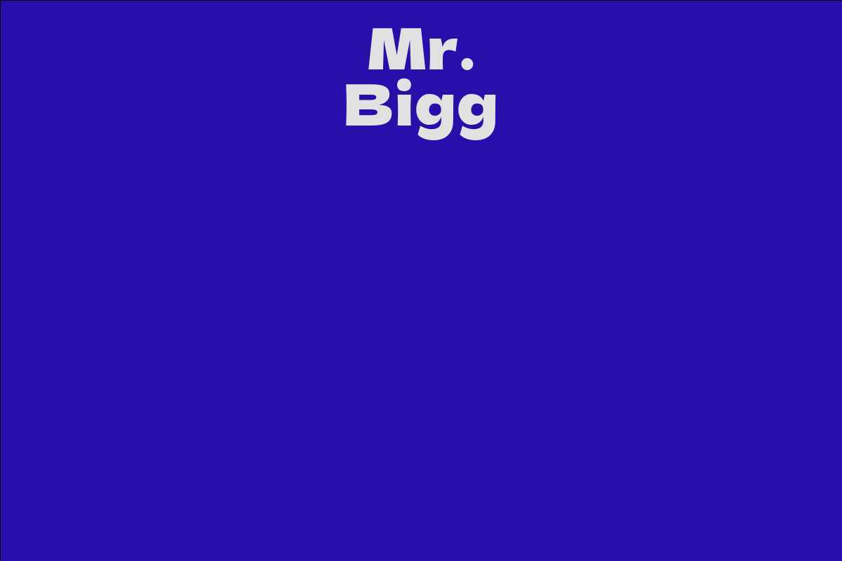 Mr. Bigg