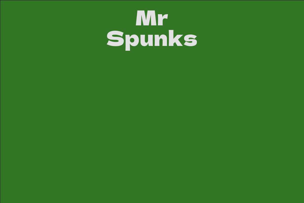 Mr Spunks