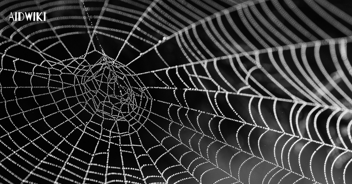 SEOSpyder Software - Download, Review and Guide