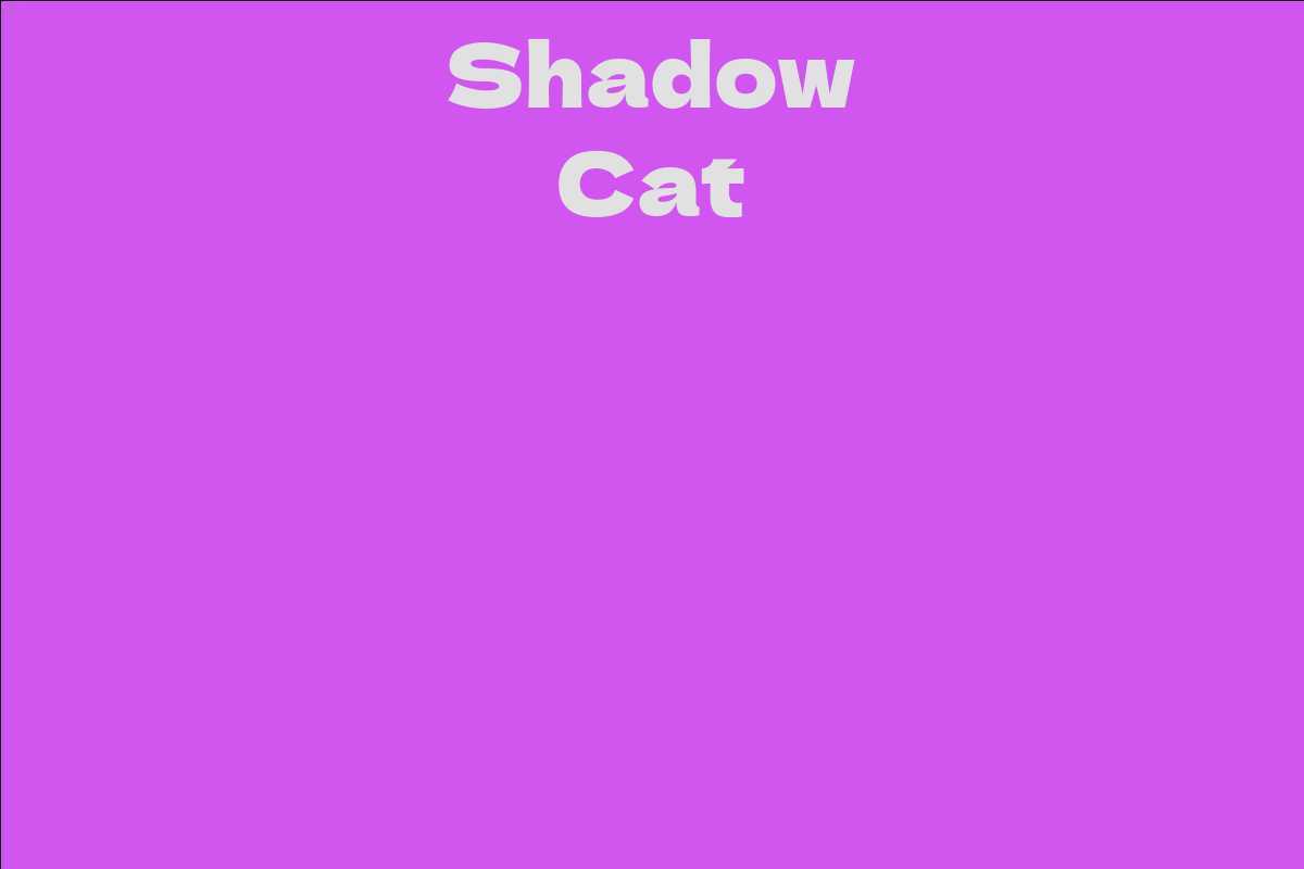 Shadow Cat