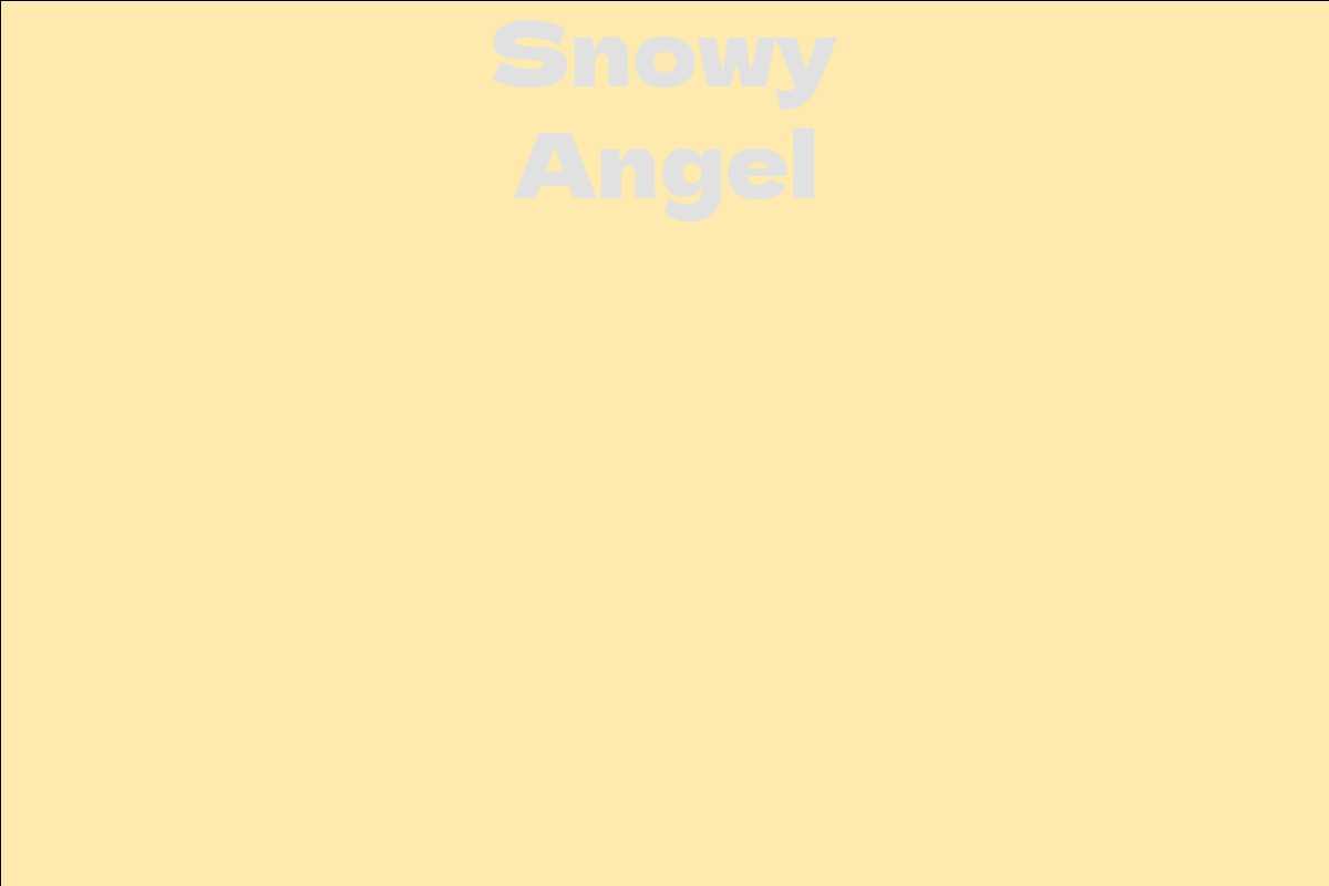 Snowy Angel