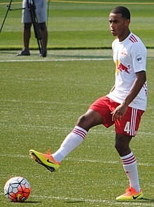 Tyler Adams-akulaku_id