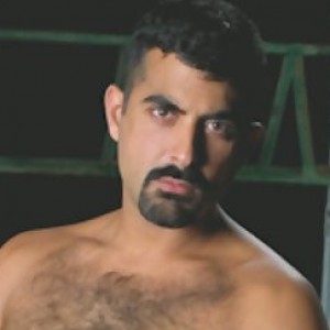 Sarib
