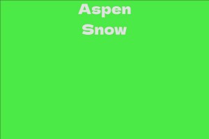 Aspen Snow