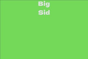 Big Sid