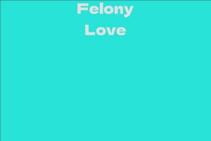 Felony Love