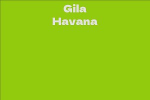 Gila Havana