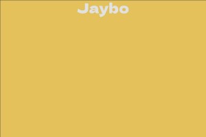 Jaybo