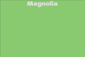 Magnolia