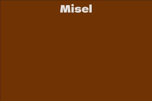 Misel