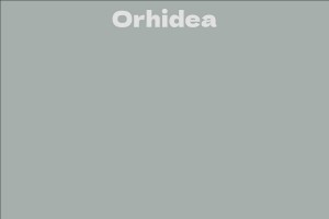 Orhidea
