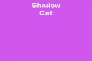 Shadow Cat