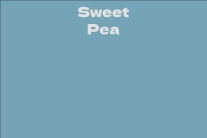 Sweet Pea