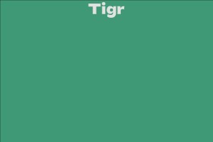 Tigr